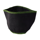 Storage box next to a plant, demonstrating room organization