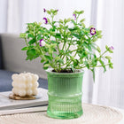 Plastic watering planter with cotton wick system