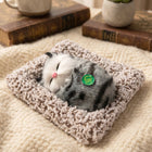 Cute plush cat showpiece placed on shelf